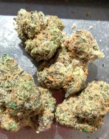 Buy Girl Scout Cookies Weed Online-girl scout cookies for sale-medical cannabis for ptsd