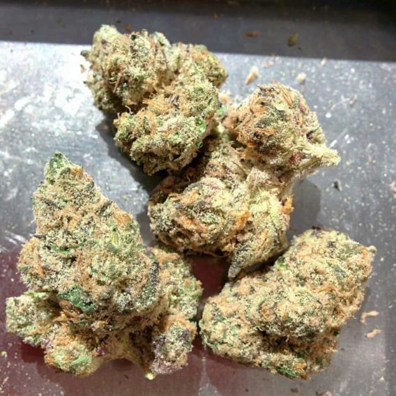 Buy Girl Scout Cookies Weed Online-girl scout cookies for sale-medical cannabis for ptsd