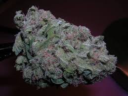 Buy purple kush online-purple kush for sale-medical marijuana dispensary nyc