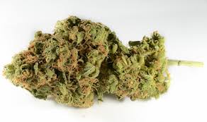 Buy chemdawg weed online-chemdawg weed for sale