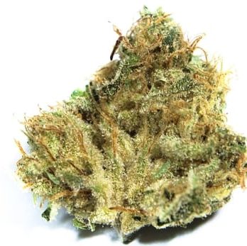 Buy lemon kush online-lemon kush for sale