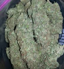 Buy white russian weed online-420 mail delivery overnight