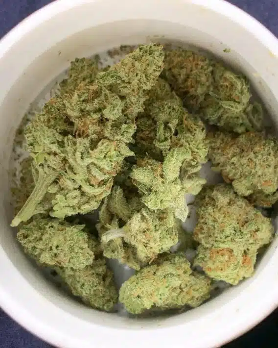 marijuana dispensary overnight